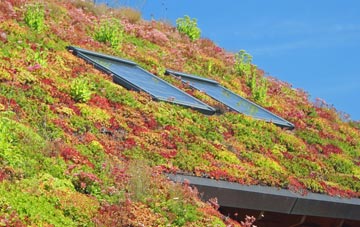 Llanyre living roof systems
